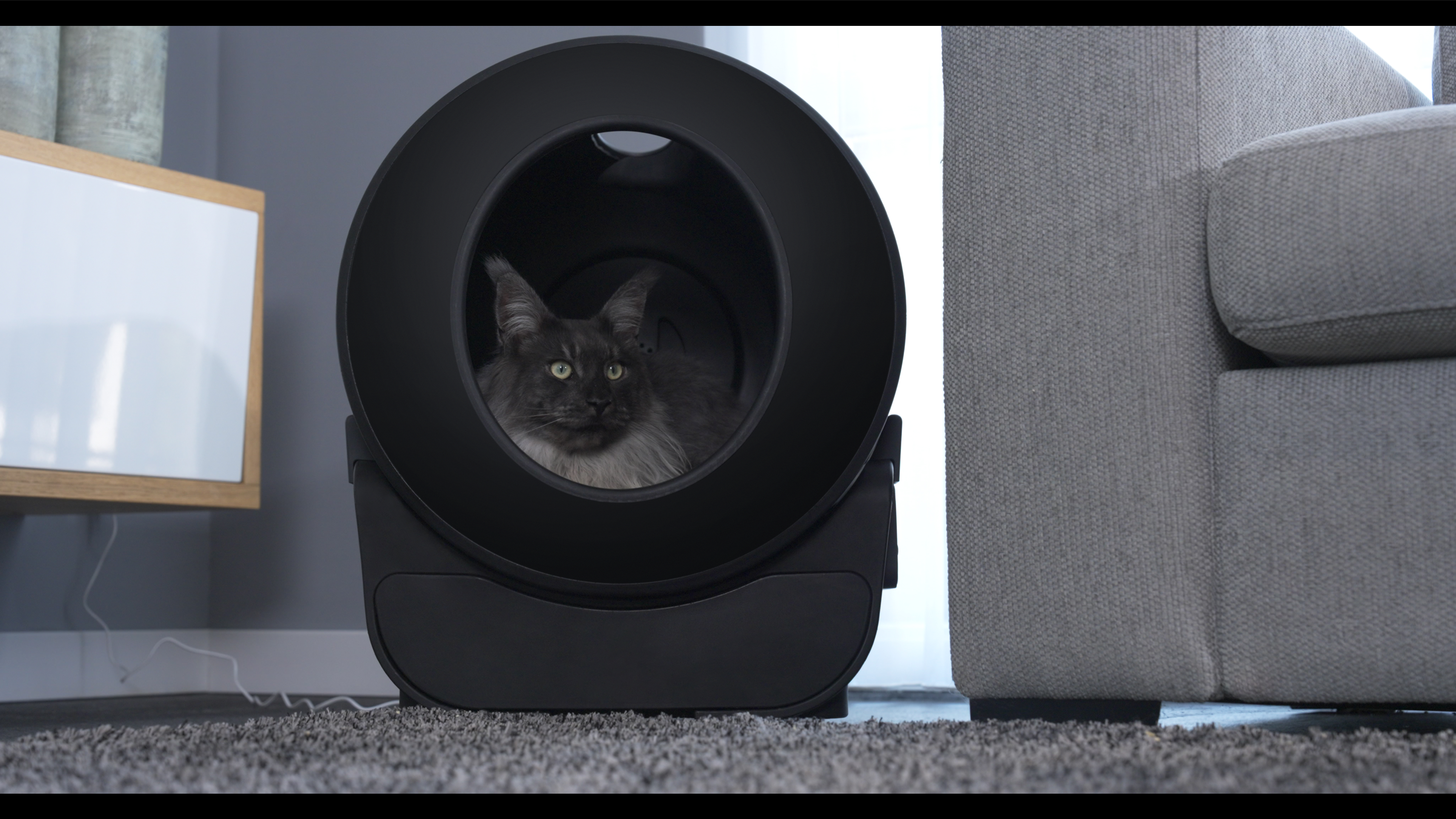 PETLUX V3: Ultimate Self-Cleaning Litter Box for Large Cats