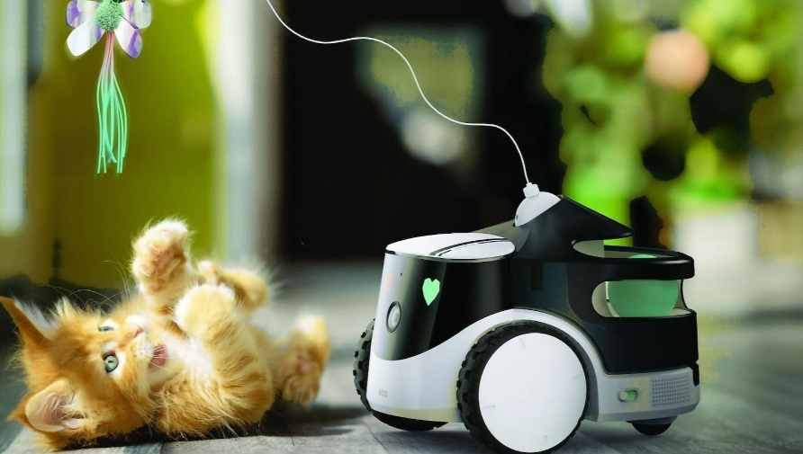 Enabot ROLA PetPat Automatic Pet Feeding Robot